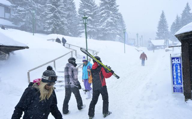 Метель на Копаонике